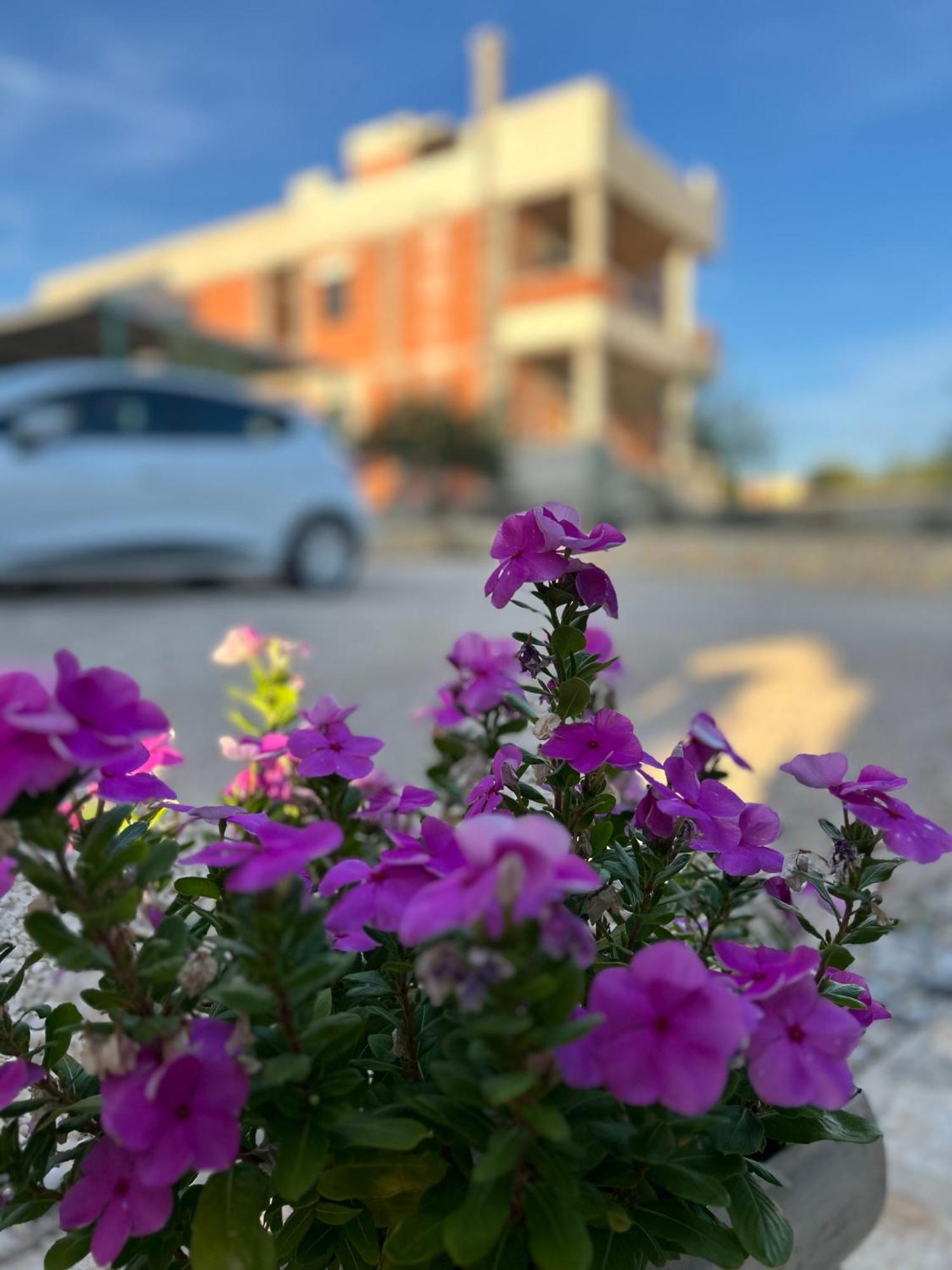 Apartamento Danisacroatia Maslenica Exterior foto
