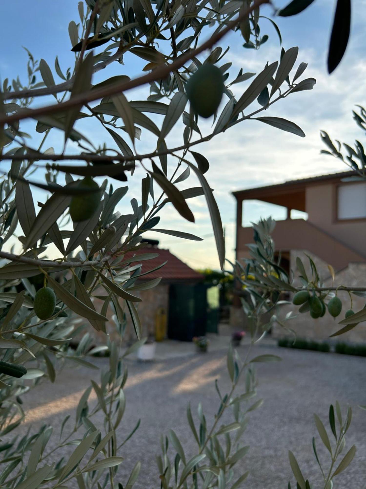 Apartamento Danisacroatia Maslenica Exterior foto